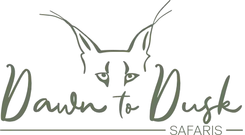 Dawn to Dusk Safaris | Tours | Transfers
